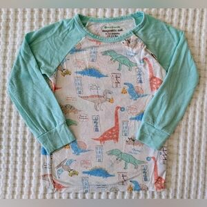 Magnetic Me Dino Adventure Long Sleeve Pajama Top Bamboo Dinosaurs Size 12M